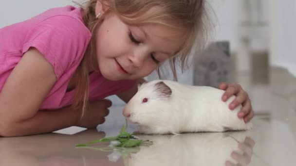 Vista lateral niño niña juega golpes conejillo de indias mascota acostada en el suelo — Vídeos de Stock