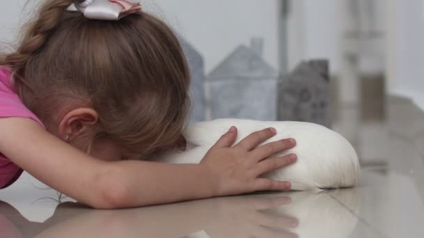 Petite fille nourrir doucement un cobaye blanc avec des feuilles vertes de persil — Video