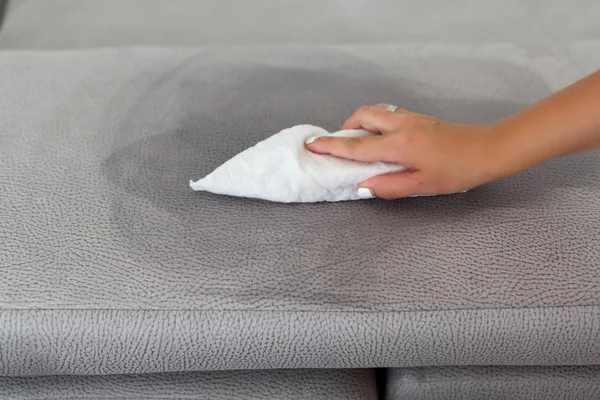 Woman cleaning couch with duster at home