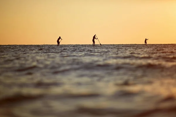 Sílhueta de pôr do sol de três jovens remando em uma prancha de surf para o horizonte no mar aberto belo pôr do sol cênico — Fotografia de Stock
