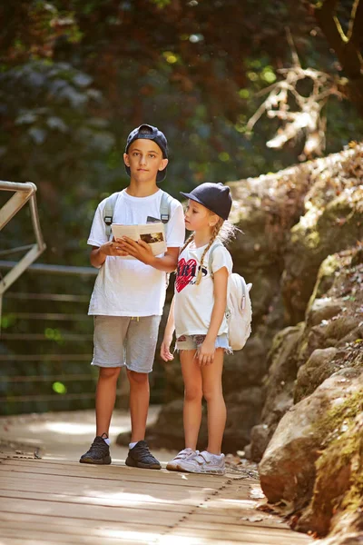 Dos niños pequeños leer orientación bosque mapa —  Fotos de Stock