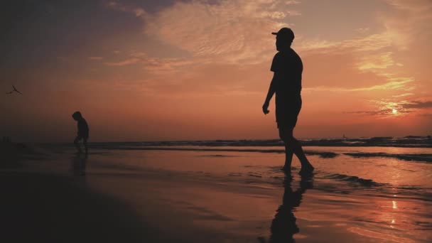 SLOW MOTION. Gente di silhouette che gioca con frisbee sulla spiaggia retroilluminata dal sole estivo — Video Stock