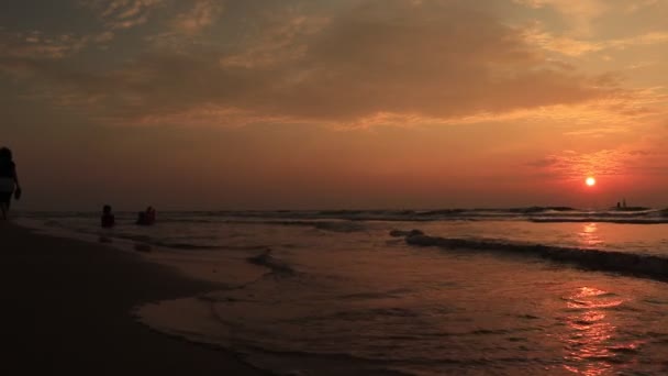 Casal mais velho dá as mãos e caminha pela praia ao pôr do sol ficando com os pés molhados — Vídeo de Stock