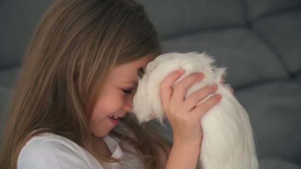 Kind blond meisje met haar cavia huisdier — Stockvideo