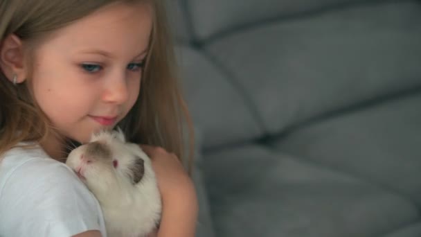 Criança olhos azuis menina loira segurando seu animal de estimação cobaia. Imagens 4k de alta qualidade — Vídeo de Stock