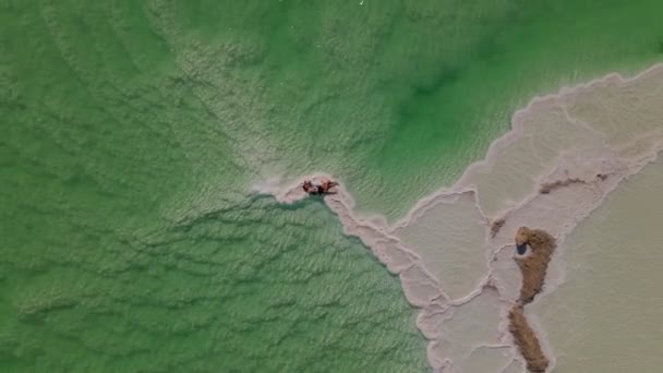 Het liefdevolle paar rust op de dode zee. Zout kustlijn, Schieten vanaf de drone — Stockvideo