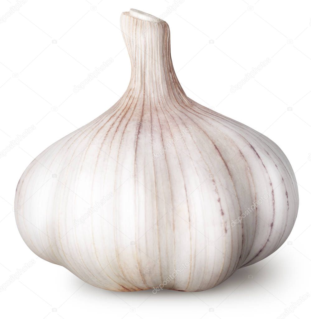 Isolated garlic. Raw garlic isolated on white background