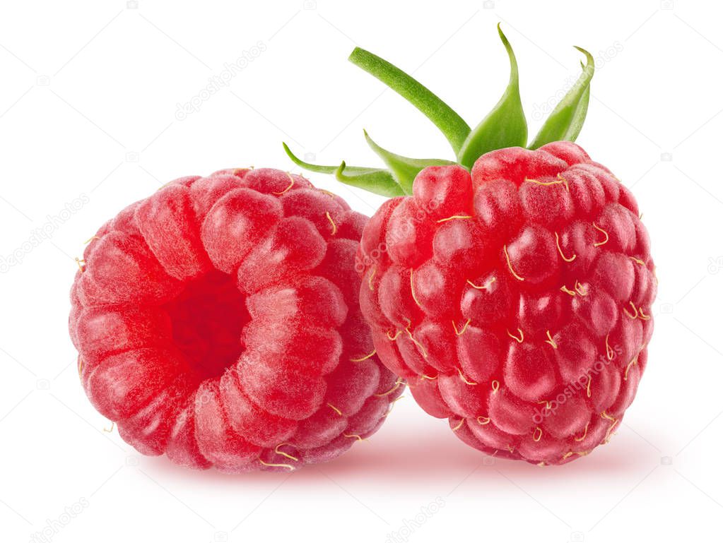 Isolated berries. Two fresh raspberry fruits isolated on white background with clipping path