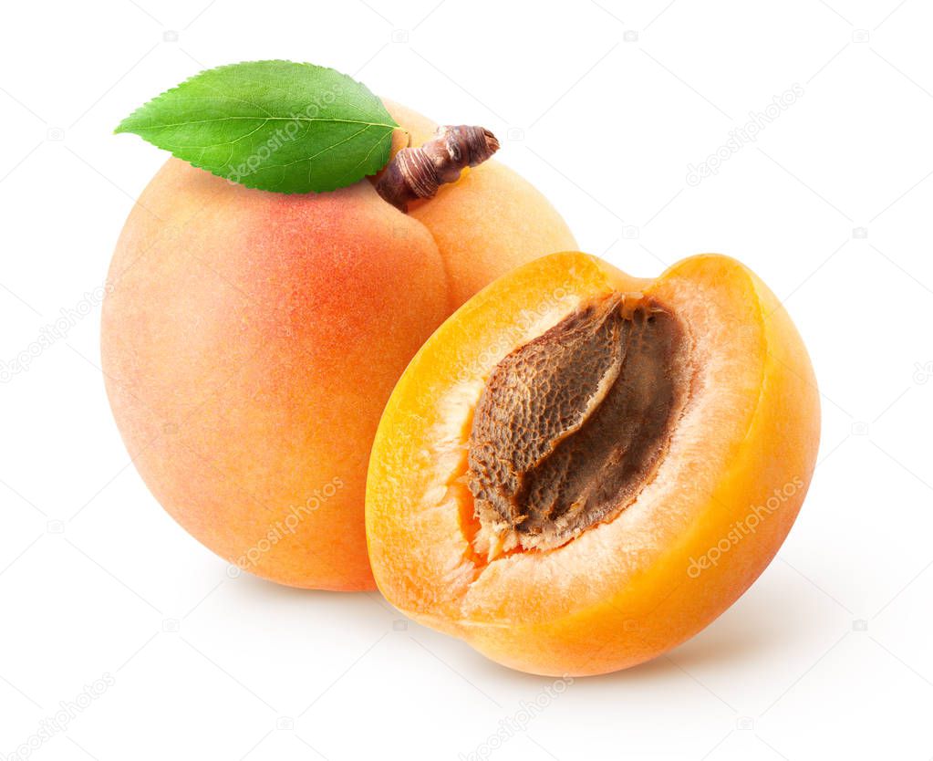 Isolated apricots. Fresh whole apricot fruit with leaf and half isolated on white background with clipping path