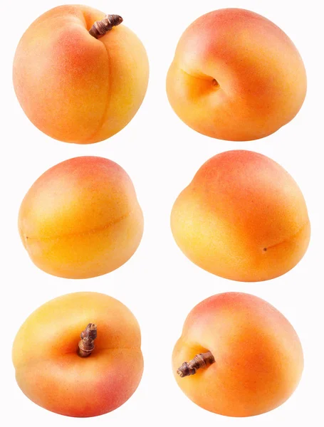 Collectie van verschillende abrikoos fruit geïsoleerd op wit met uitknippad — Stockfoto