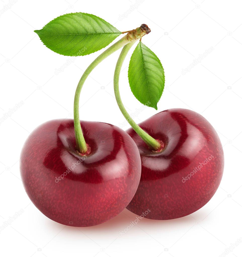 Isolated cherries. Pair of cherry fruits with leaves isolated on white background with clipping path