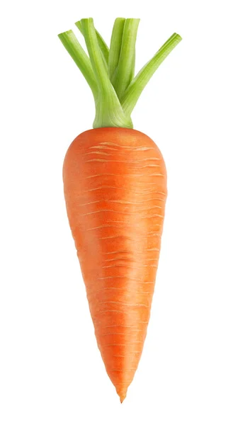 Изолированная морковка. Целая морковь изолированы на белом фоне, с вырезкой пути — стоковое фото