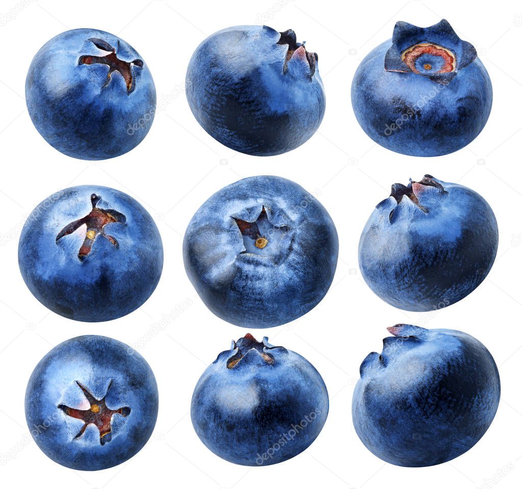 Isolated blueberries collection. Different angle of blueberry fruits isolated on white background, with clipping path