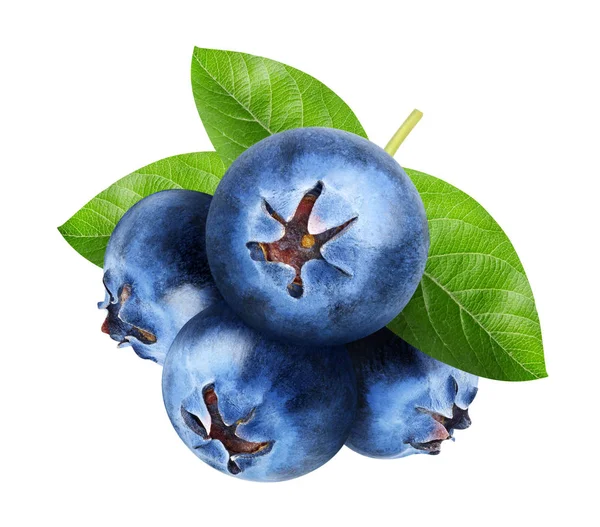 孤立的蓝莓。一捆甜的蓝莓果实与叶隔离在白色背景, 与剪裁路径 — 图库照片