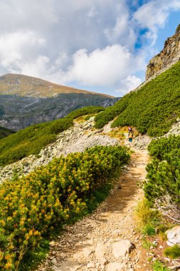 Güzel Tatra dağlarındaki dağ yolları