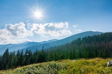 Orman ve Polonya dağları Tatry güneşli bir günde