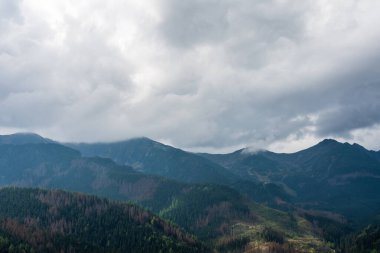 Yeşil ormanlarla dolu dağlar. Güzel yer.