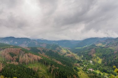 Tatry dağları güzel ormanlarla kaplı ve onlarla kaplı. 