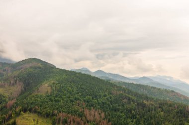 Tatra Dağı 'nın orman dağları üzerinde sis ve bulutlar.