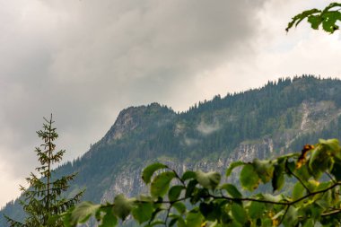 Ön planda bitkiler ve çalılar. Dağlar ve bulutlar