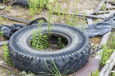 Ekoloji ve çevre. Bir büyük kauçuk lastik ve enkaz çim üzerinde yalan 