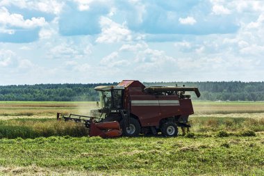 Tarım. Bitkileri hasat hasat alanında