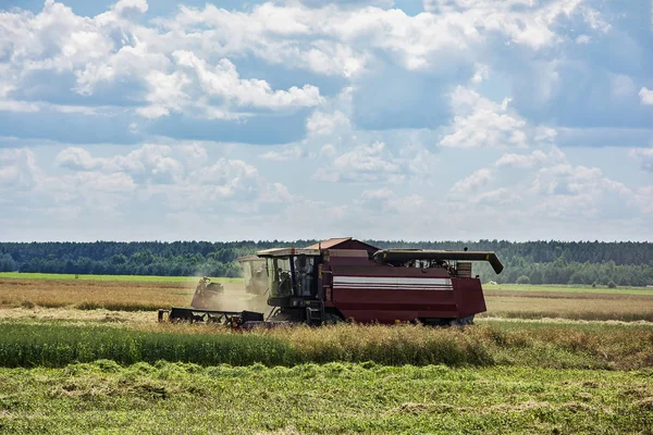 Rural Landscape Harvester Harvesting Grain Crops Stock Image