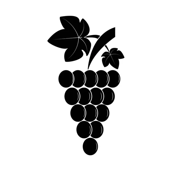Група винограду на гілці з листям — стоковий вектор