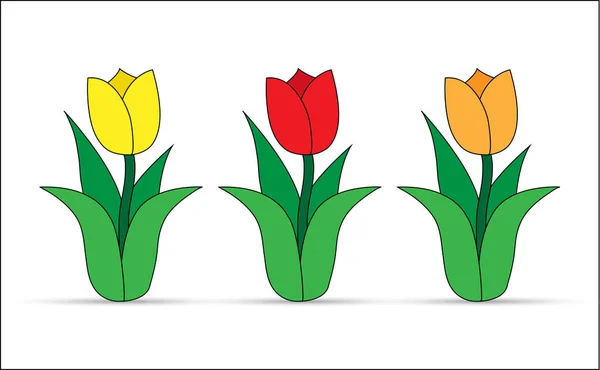 Conjunto de tulipas com cor de flor diferente, desig simples — Vetor de Stock