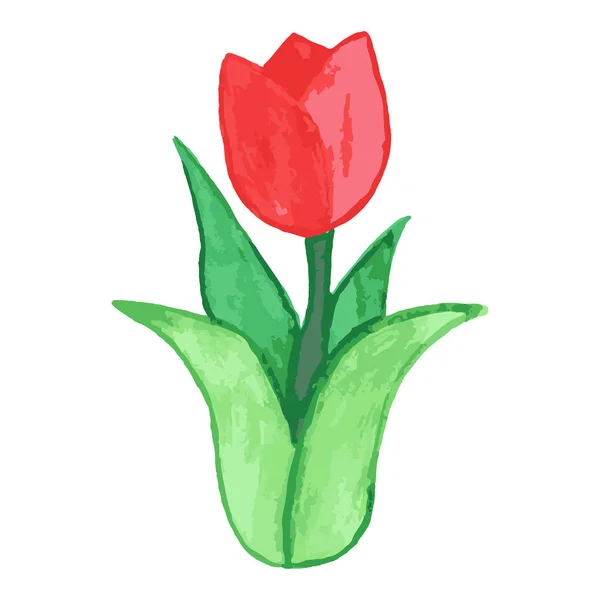 Watercolor Tulip flower pattern, simple design — Stock Vector
