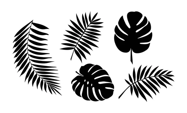 Набор листьев тропических растений. Простой дизайн . — стоковый вектор