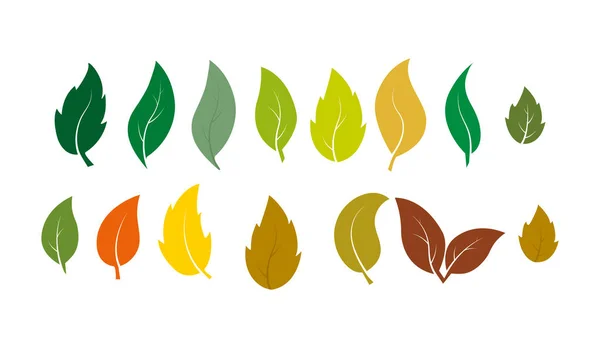 Conjunto de hojas de diferentes plantas en colores de verano y otoño . — Vector de stock