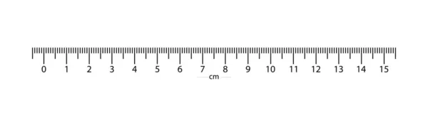 Regla real a 15 cm de la parte superior de la escala. 1 división es igual a — Archivo Imágenes Vectoriales