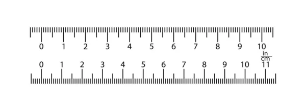 Valóságos uralkodó van 11 lassan mászik és 10 lassan mászik. 1 részleg 1 millimete — Stock Vector