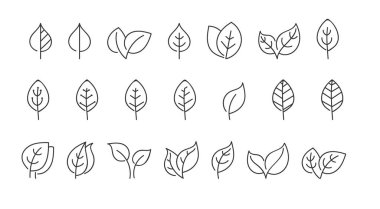 Yaprakların koleksiyon defteri, renk, tasarım ve dekorasyon için vektör kümesi