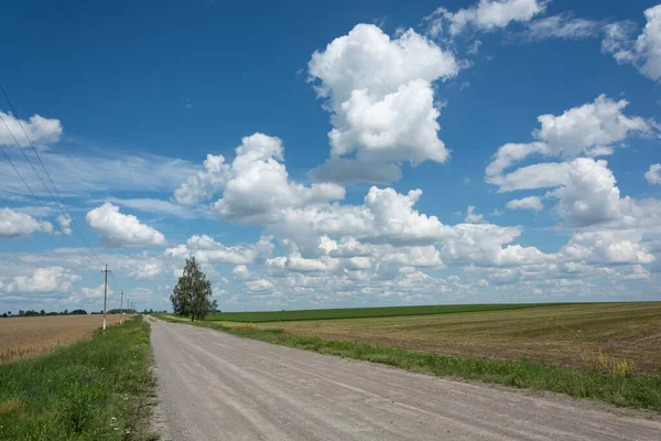 Пейзаж Заміська Дорога Серед Нескінченних Полів Стокове Фото — стокове фото