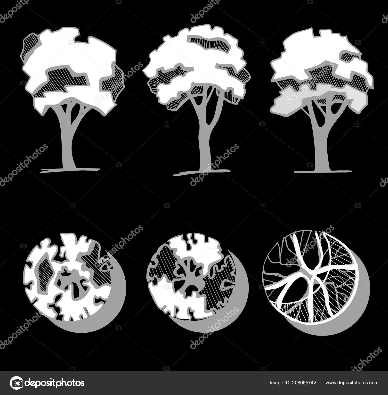 Tree Sketch: Conjunto de árvores de arquitetos desenhadas à mão