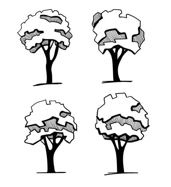 Ağaçlar bir peyzaj tasarımı için. Çizilmiş ağaç izole beyaz arka plan, kroki, mimari çizim tarzı farklı el seti ağaçları. Üst ve ön görünüm — Stok Vektör