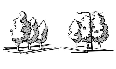 Ağaçlar bir peyzaj tasarımı için. Çizilmiş ağaç izole beyaz arka plan, kroki, mimari çizim tarzı farklı el seti ağaçları. Üst ve ön görünüm