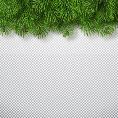 Noel ağacı dalları arka plan. Noel ve Yılbaşı dekor. Saydam bir arka plan üzerinde izole gerçekçi vektör çizim