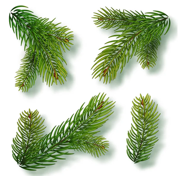 Kerstboom takken instellen voor een kerst decor. Close-up van de takken. Collectie van Fir takken. Realistische vectorillustratie geïsoleerd op witte achtergrond — Stockvector