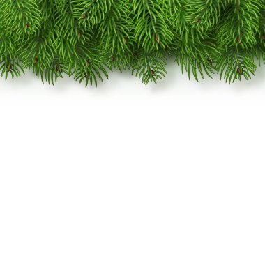 Noel ağacı dalları arka plan. Noel ve Yılbaşı dekor. Saydam bir arka plan üzerinde izole gerçekçi vektör çizim