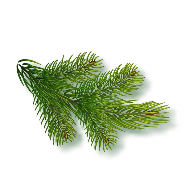 Spruce branch isolated on background. Christmas tree branch. Realistic Christmas Vector illustration. Design element for Xmas cards. New year party posters — Stock Vector