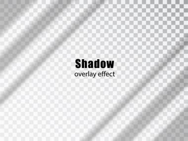 Gölge şeffaf etki yapar. Işık ve gölge gerçekçi gri dekoratif arka plan. Pencereden gelen gölge ve ışık. Şeffaf gölge etkisi ve doğal şimşek modeli