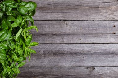 fesleğen kopya alanı ahşap tablo