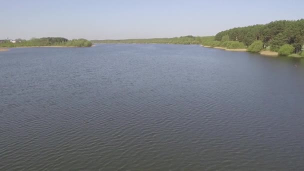 Letí Nad Vodou Pozadí Lesa Přehrada Nízká Nadmořská Výška Vlnky — Stock video