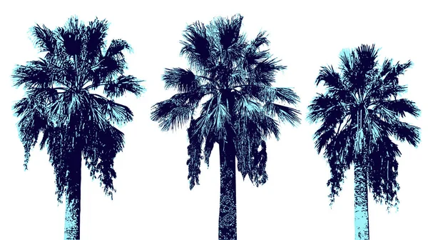 Set Grafische Palmen — Stockvector