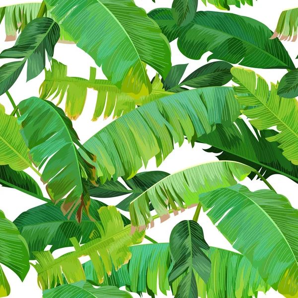 Seamless Tropical Pattern Banana Leaves — Stock Vector