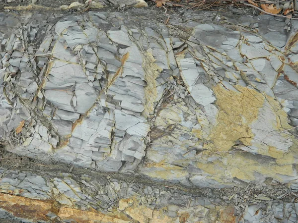 Fondo Piedra Neutra Con Arañazos — Foto de Stock