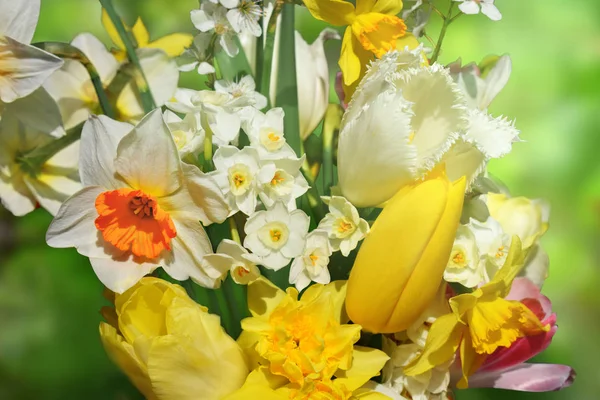 Ramo de primavera con narcisos — Foto de Stock